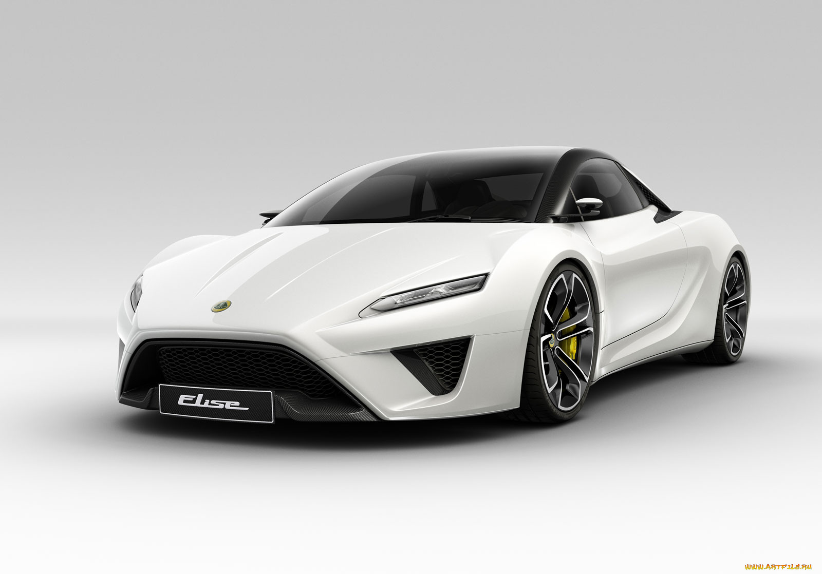, lotus